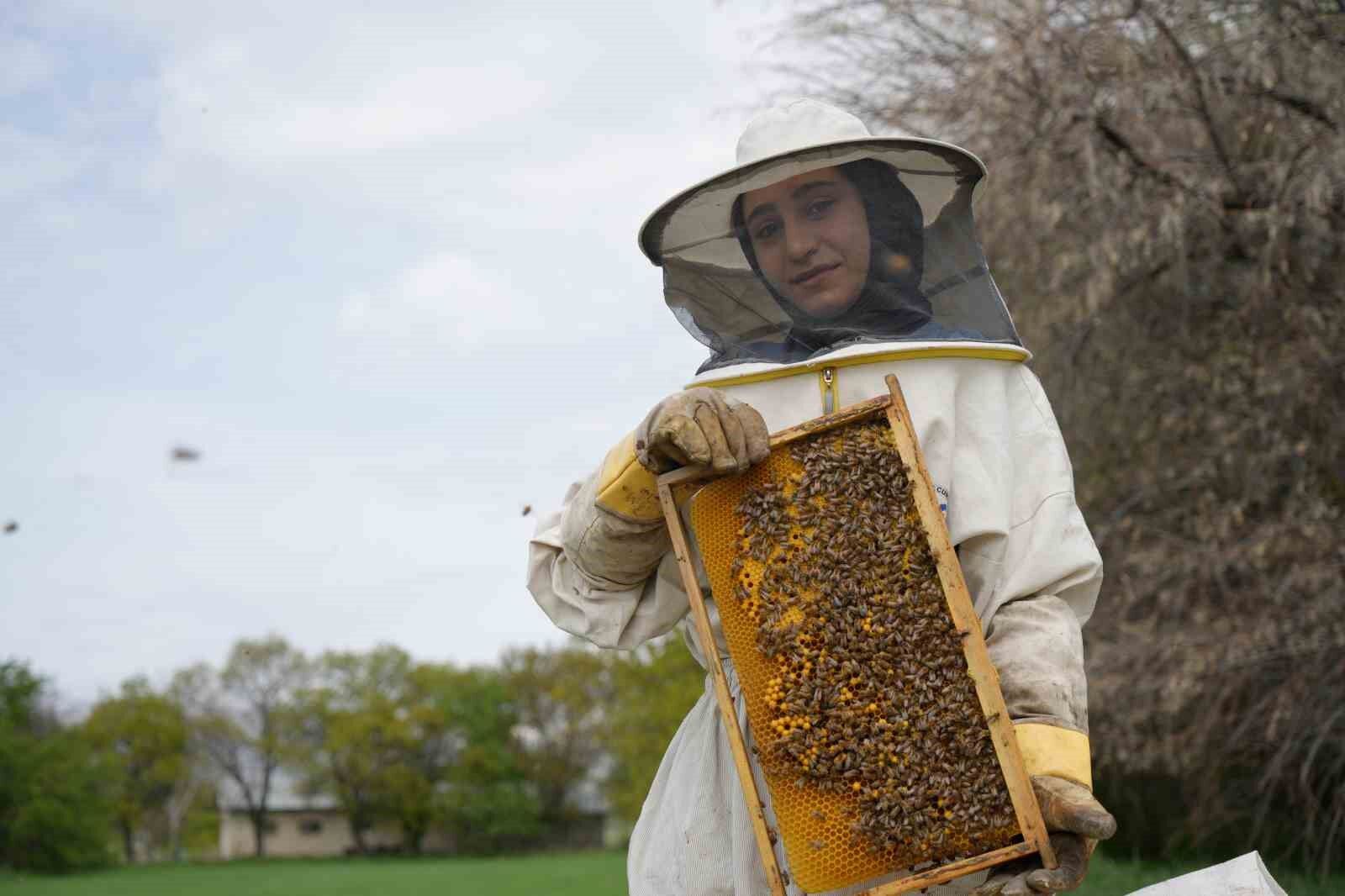Erzincan’da kış uykusundan uyanan arılar yeni sezona hazırlanıyor