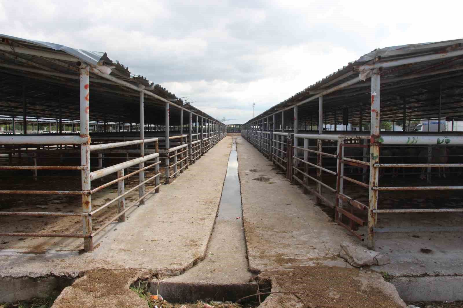 Bayrama günler kala hayvan pazarında sessizlik: 