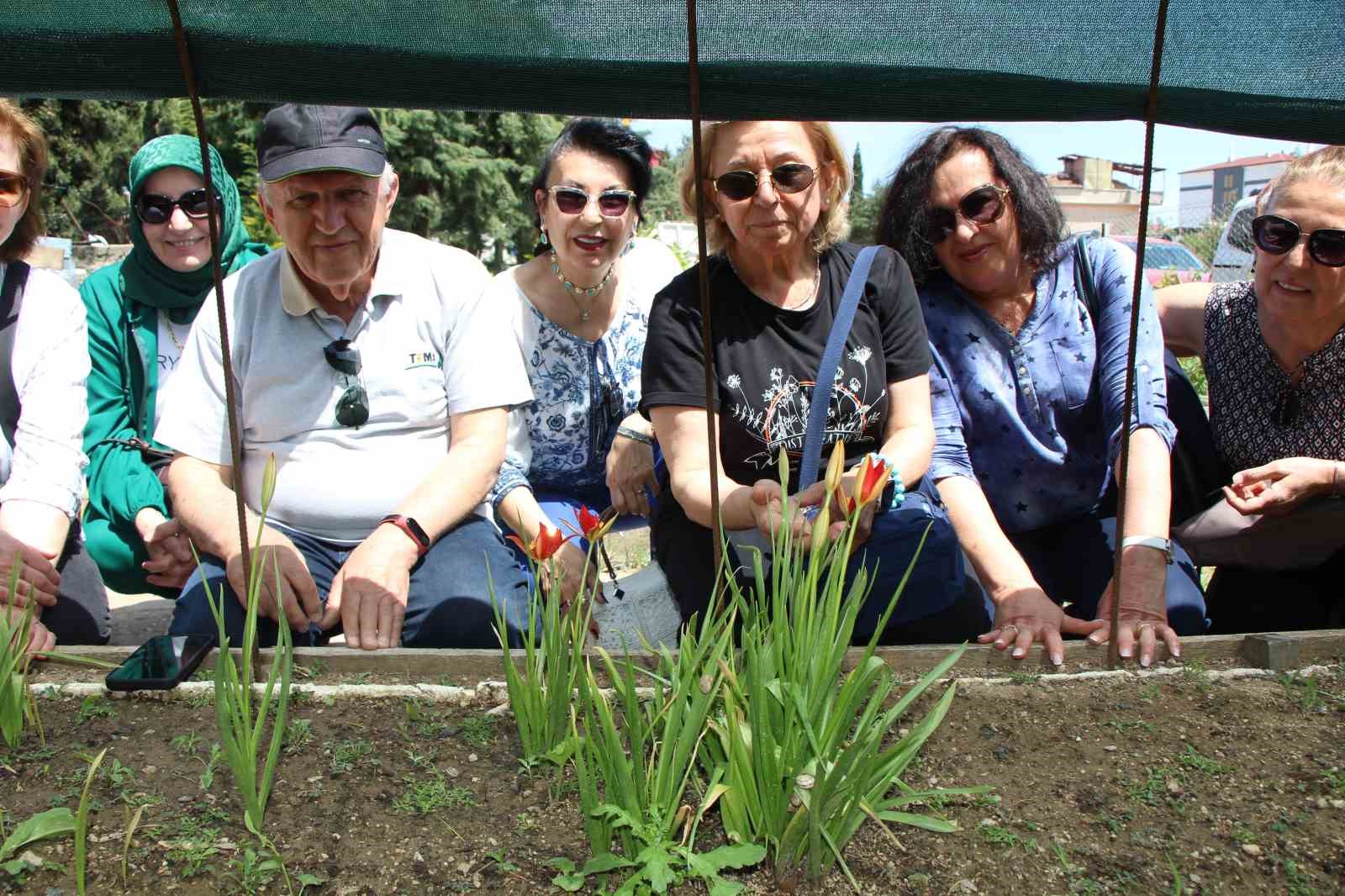 Yitik Türk lalesi sadece 2 hafta çiçek açıyor