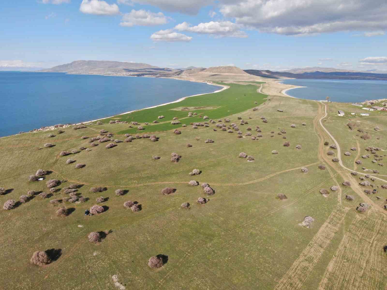 Doğaseverlerin yeni rotası Çarpanak yarımadası