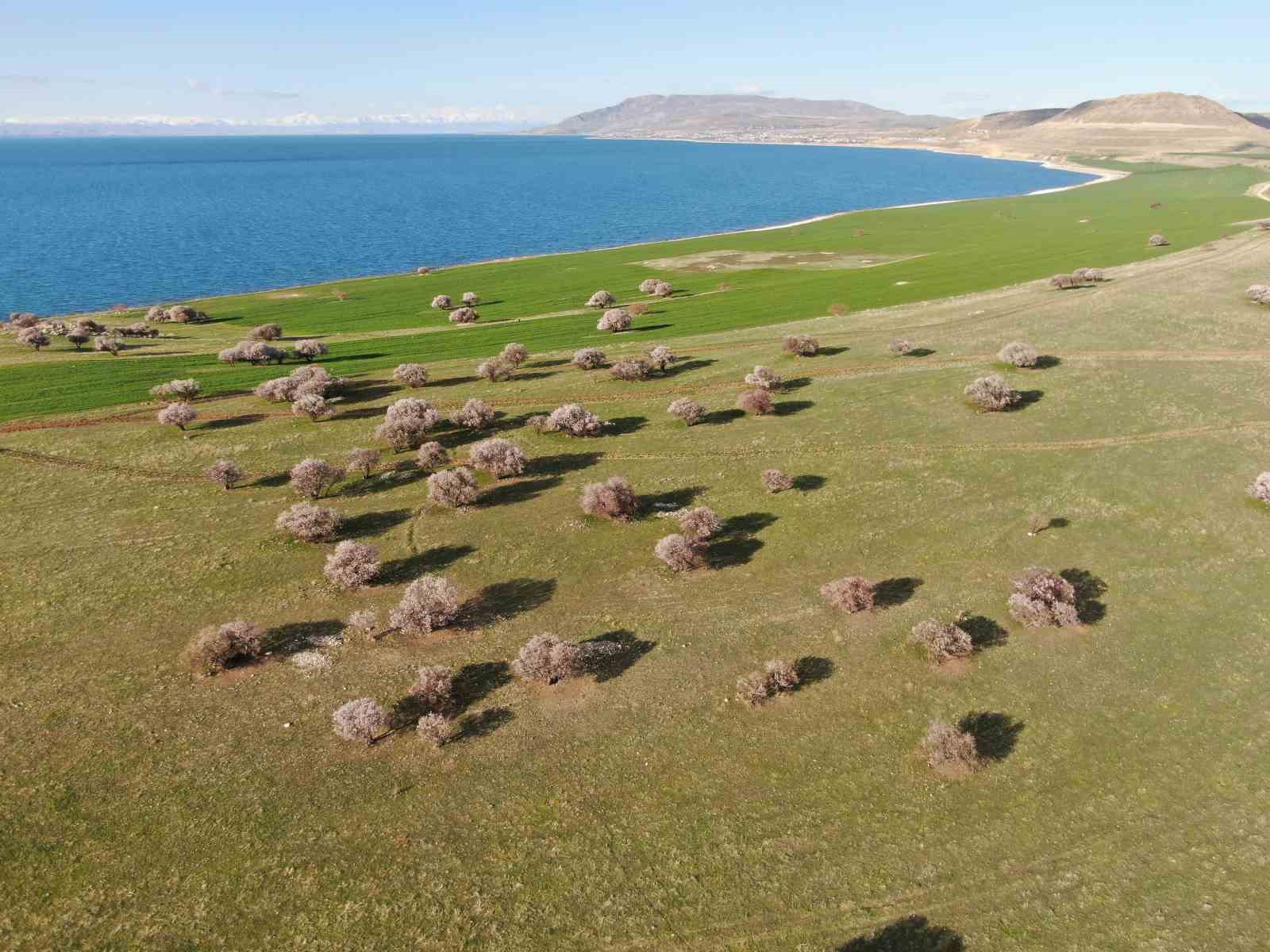 Doğaseverlerin yeni rotası Çarpanak yarımadası