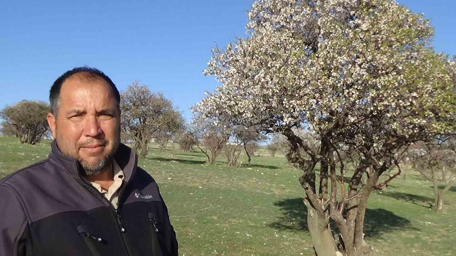 Doğaseverlerin yeni rotası Çarpanak yarımadası