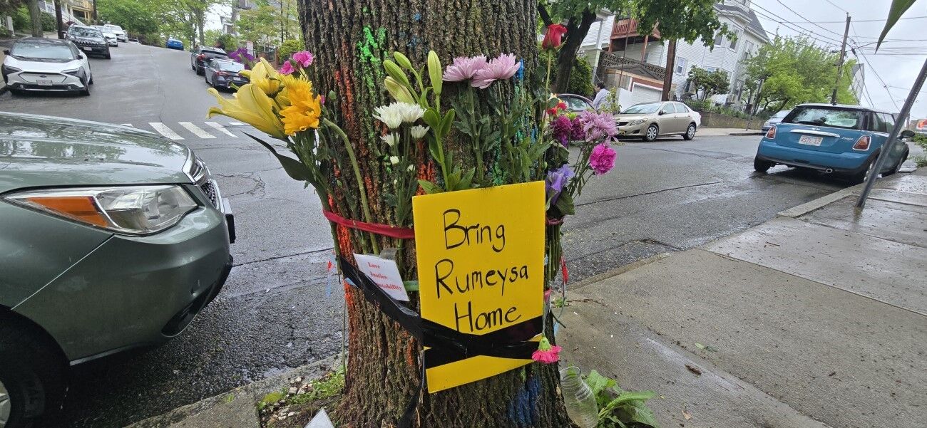 ABD'de serbest bırakılan doktora öğrencisi Rümeysa Öztürk: 