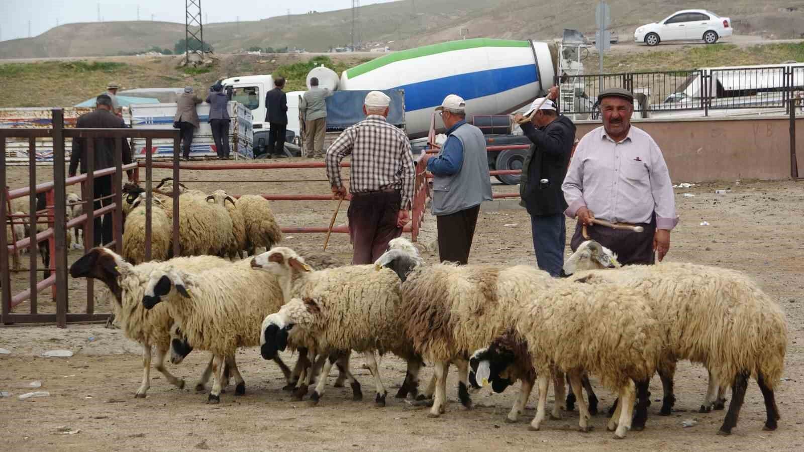 Van’da kurbanlıklar görücüye çıktı