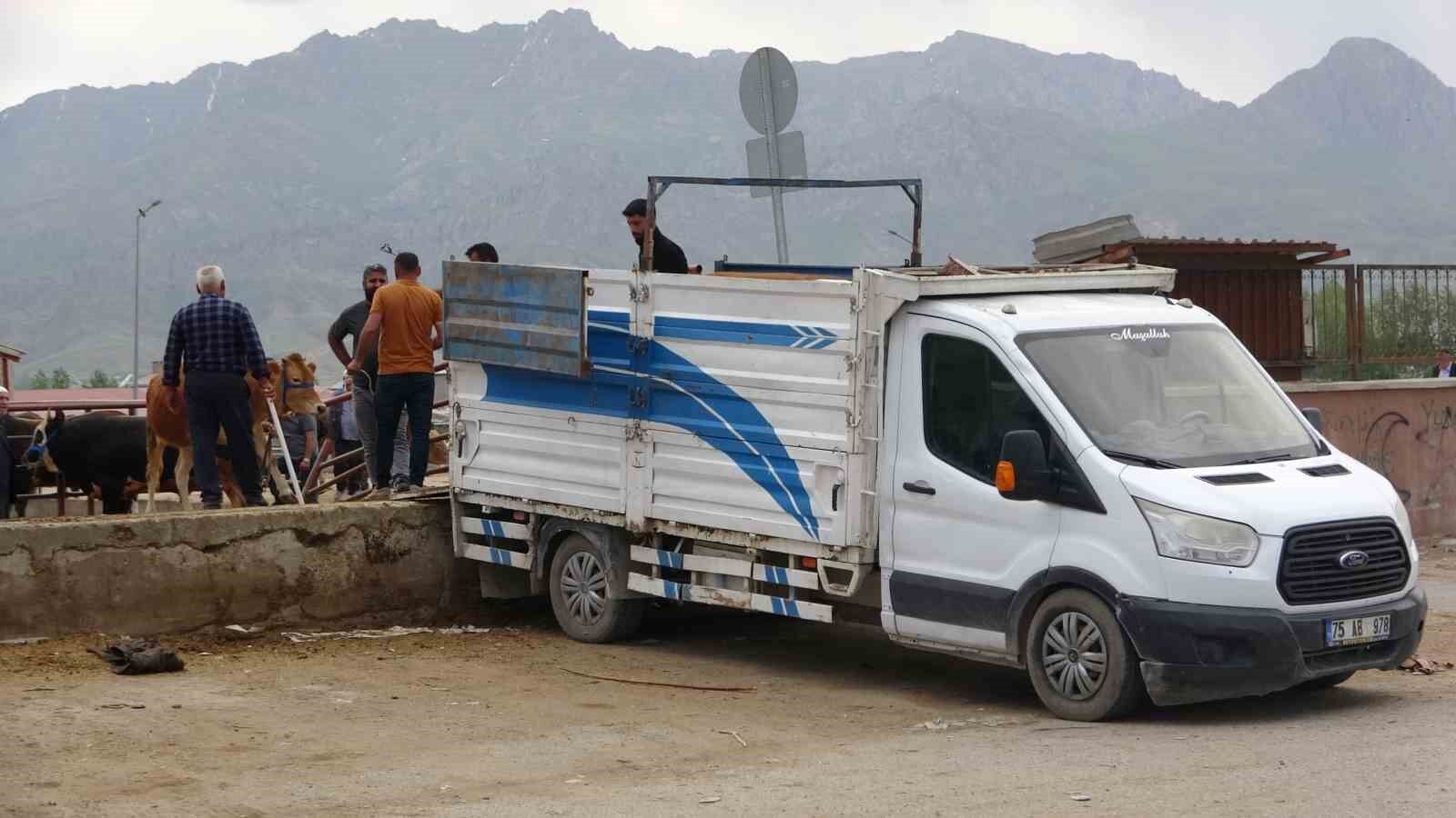 Van’da kurbanlıklar görücüye çıktı