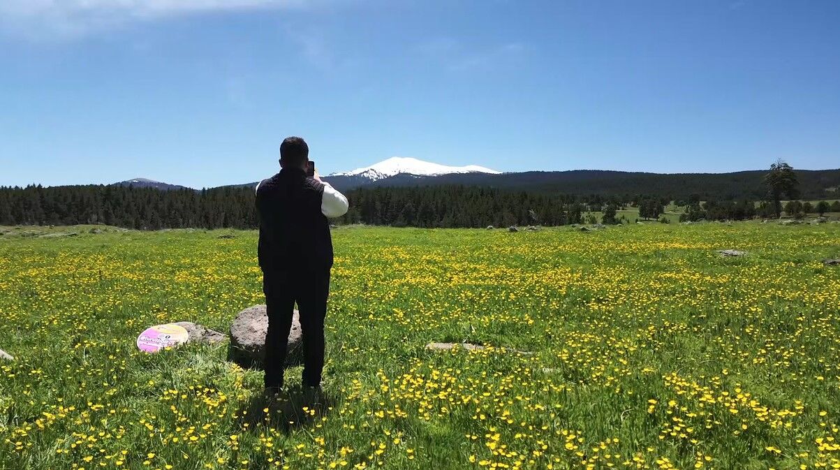 Kars’ta sarıçiçekler görenleri büyülüyor