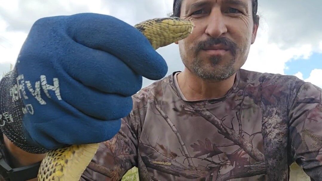 Eve girmeye çalışan yılanı son anda yakaladı