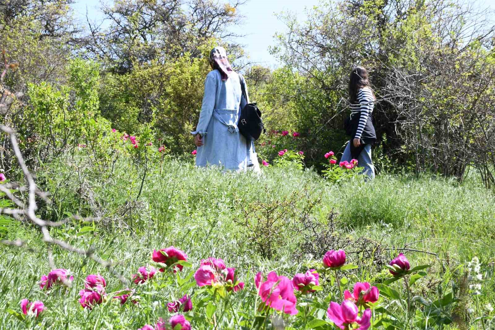 Ömrü 15 gün, koparmanın cezası 557 bin lira