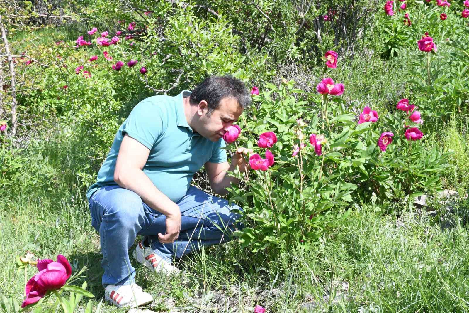 Ömrü 15 gün, koparmanın cezası 557 bin lira