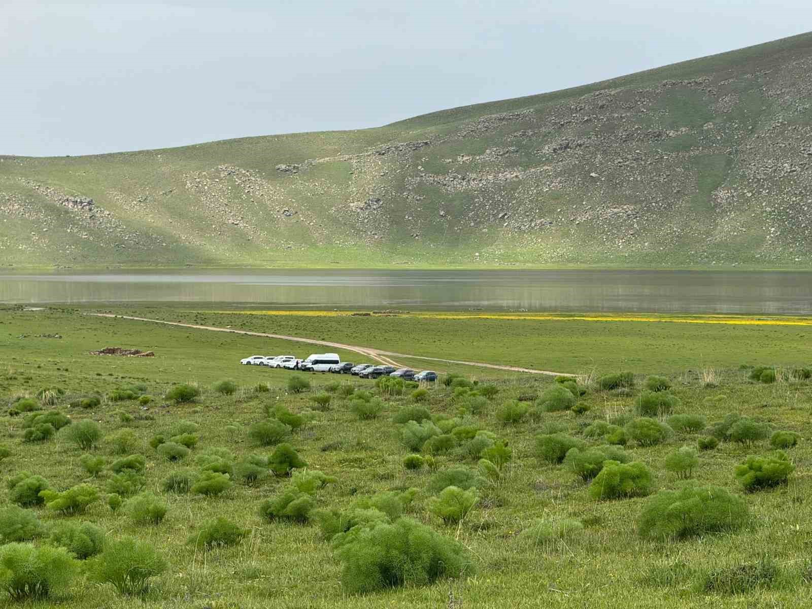 Doğaseverler, Erciş’in gizli cenneti Meydan Yaylası’nda buluştu