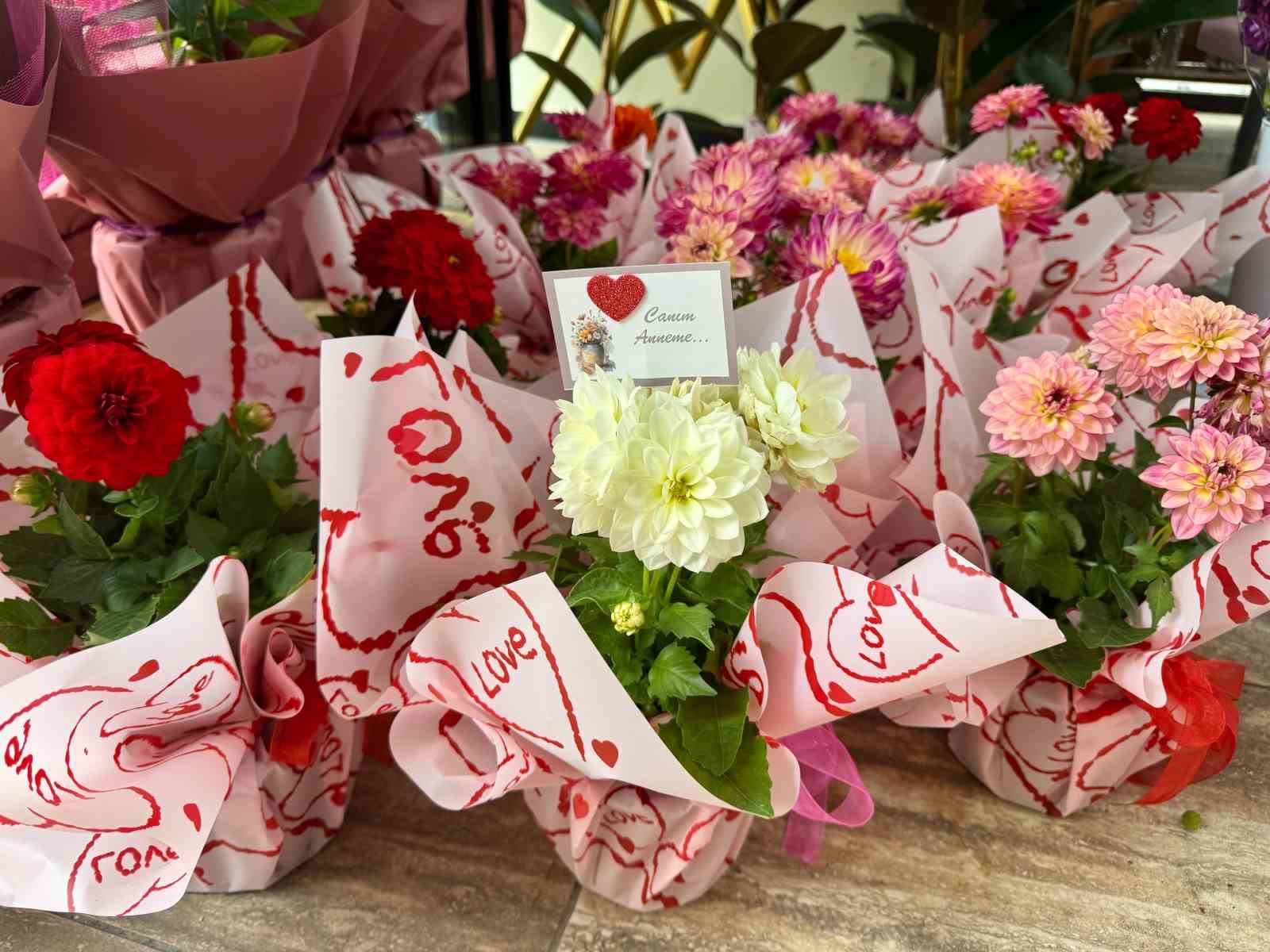 Anneler Günü’nde en çok saksı çiçekleri talep görüyor