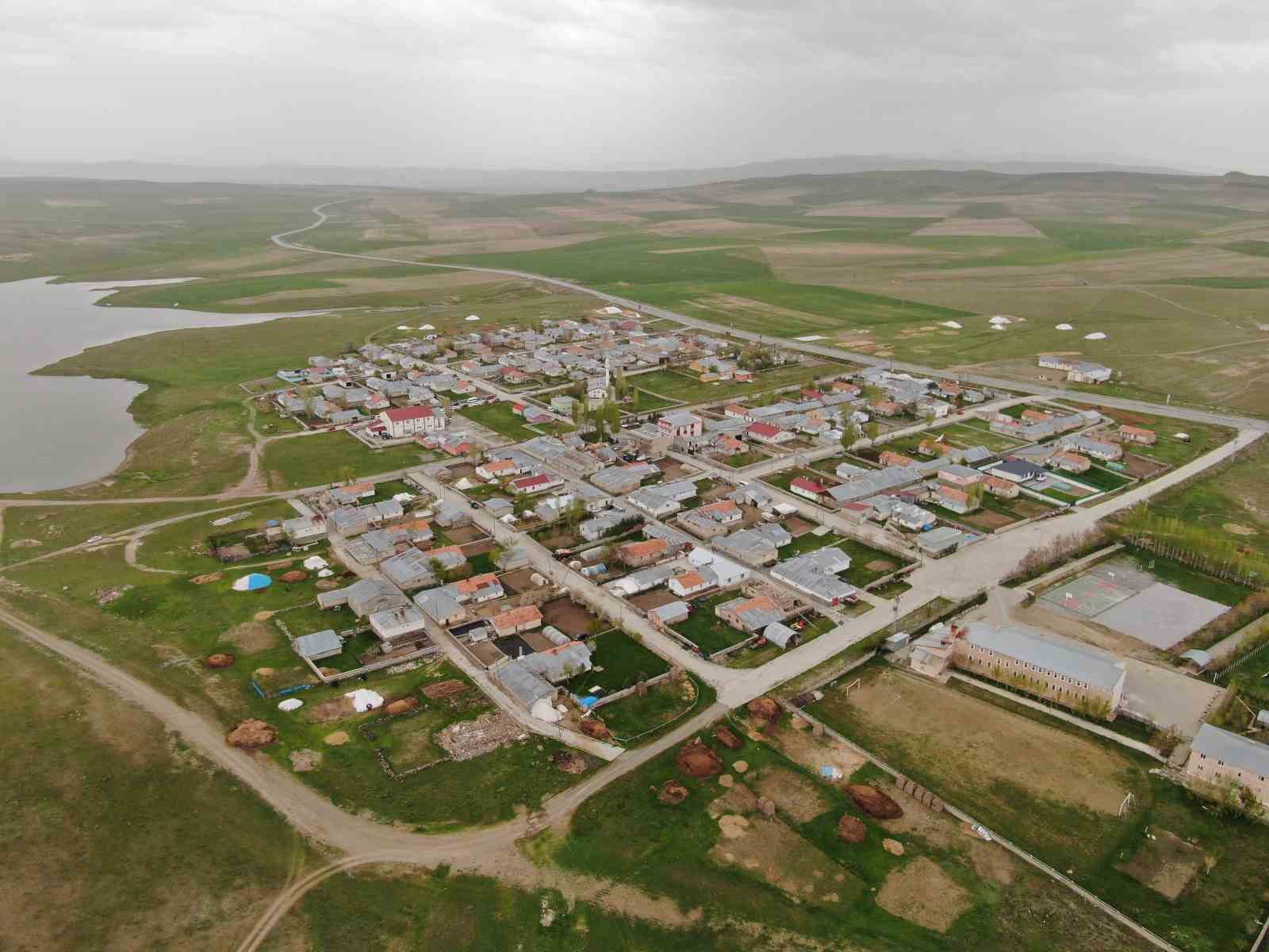 Van’da leylekler 48 yıldır aynı direğe yuva yapıyor