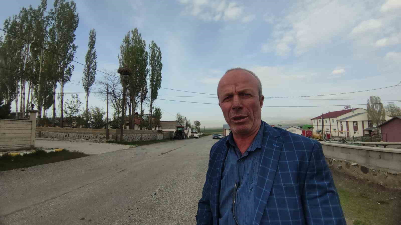 Van’da leylekler 48 yıldır aynı direğe yuva yapıyor