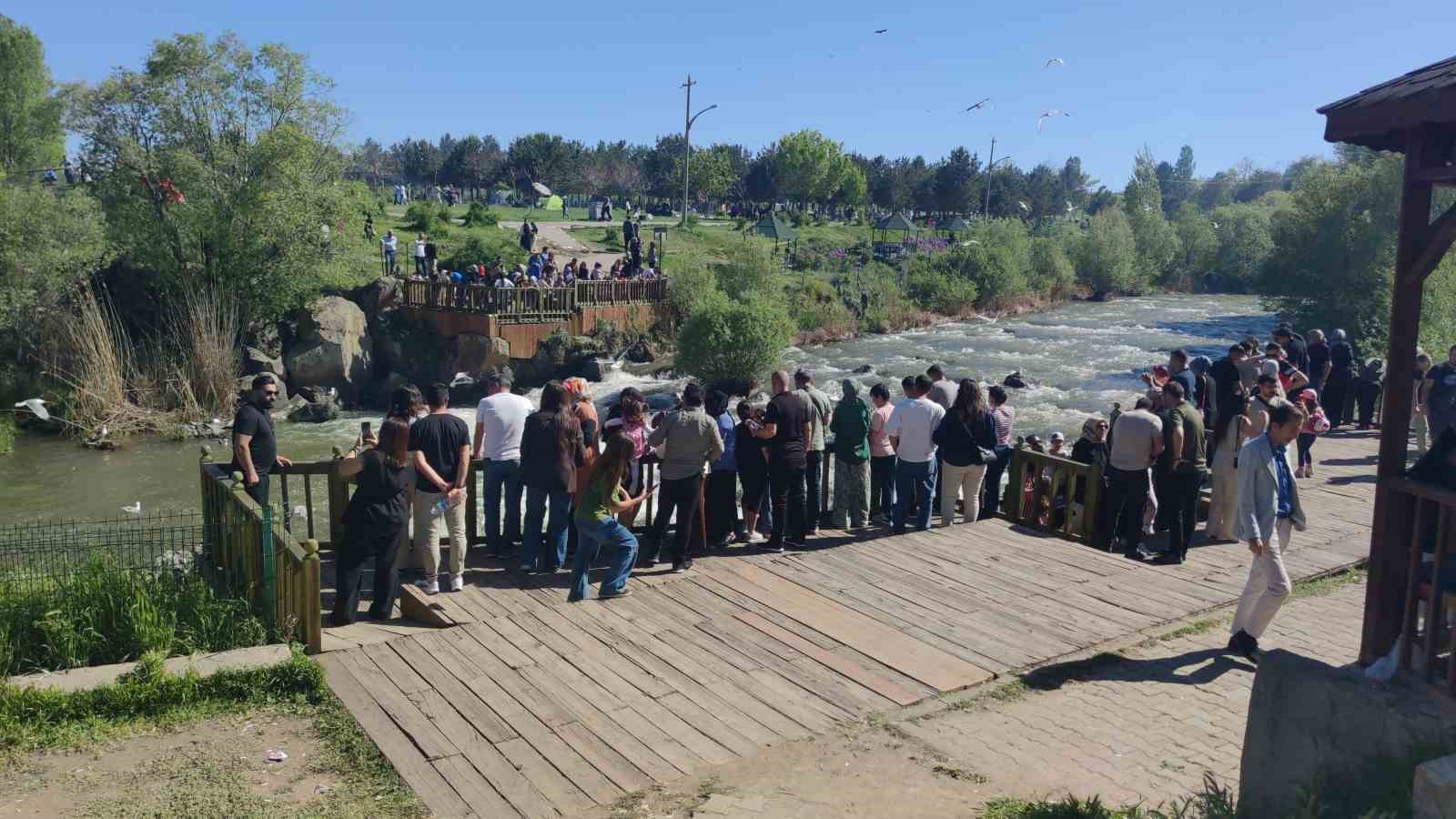 Uçan balıkların muhteşem görsel şöleni başladı