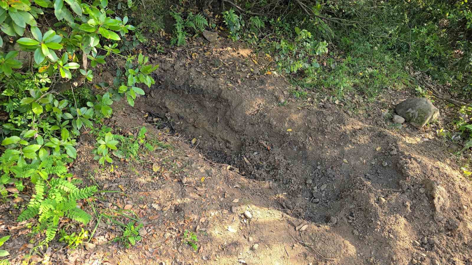 Ailesinin kayıp ihbarı cinayeti ortaya çıkardı