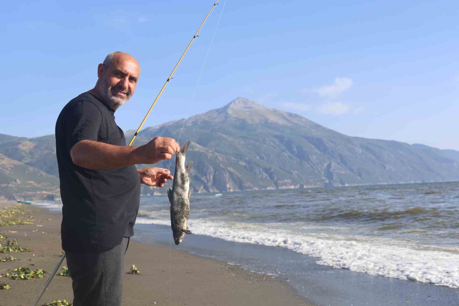 Aşırı yağışla birlikte denize sürüklenen binlerce tatlı su balığı, tuzlu suda telef oldu