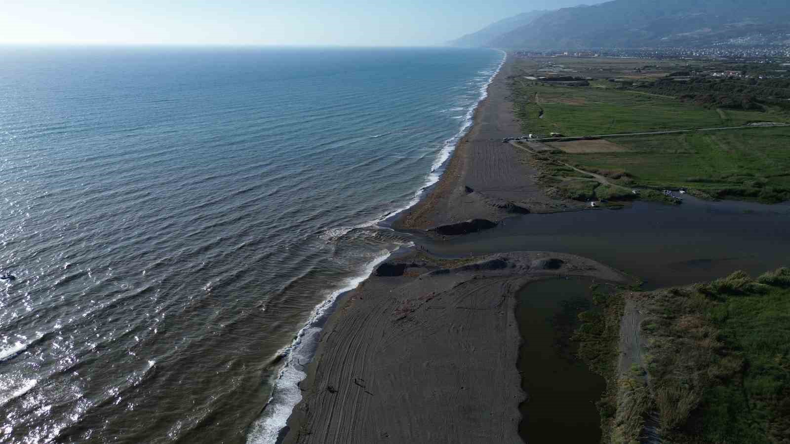 Aşırı yağışla birlikte denize sürüklenen binlerce tatlı su balığı, tuzlu suda telef oldu