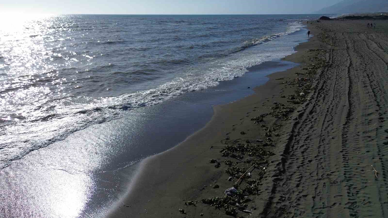 Aşırı yağışla birlikte denize sürüklenen binlerce tatlı su balığı, tuzlu suda telef oldu