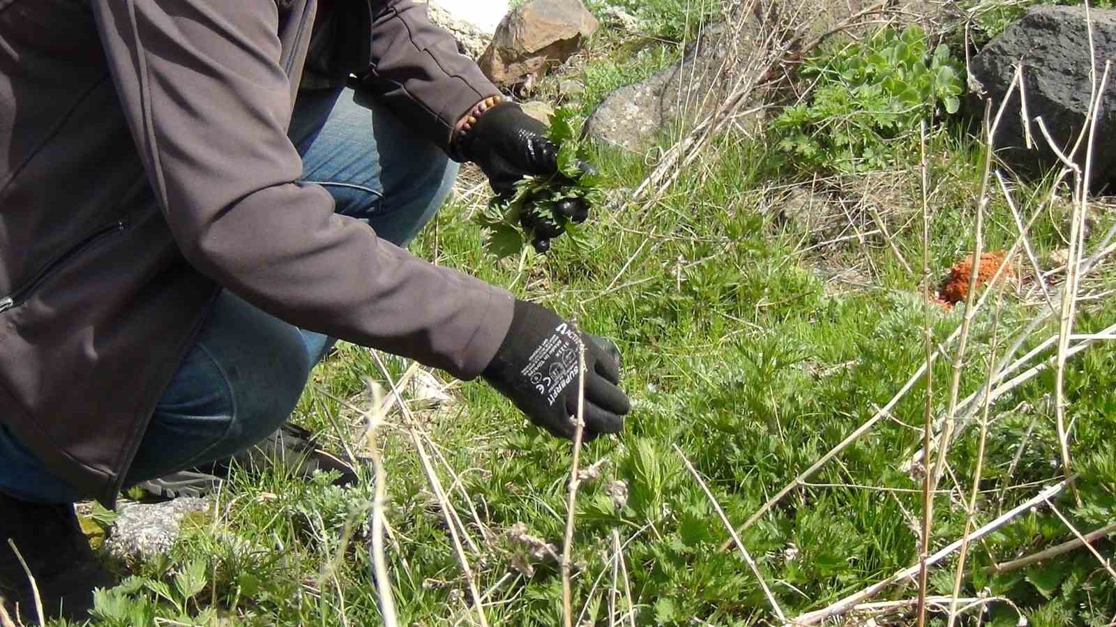 Kars’ta uzmanlar uyardı: