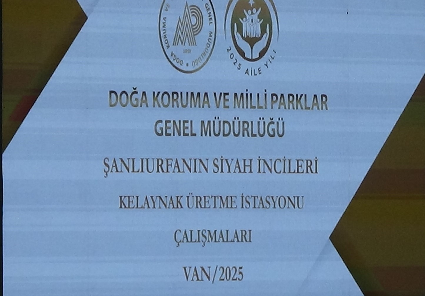 Kelaynak kuşlarının üretimi masaya yatırıldı