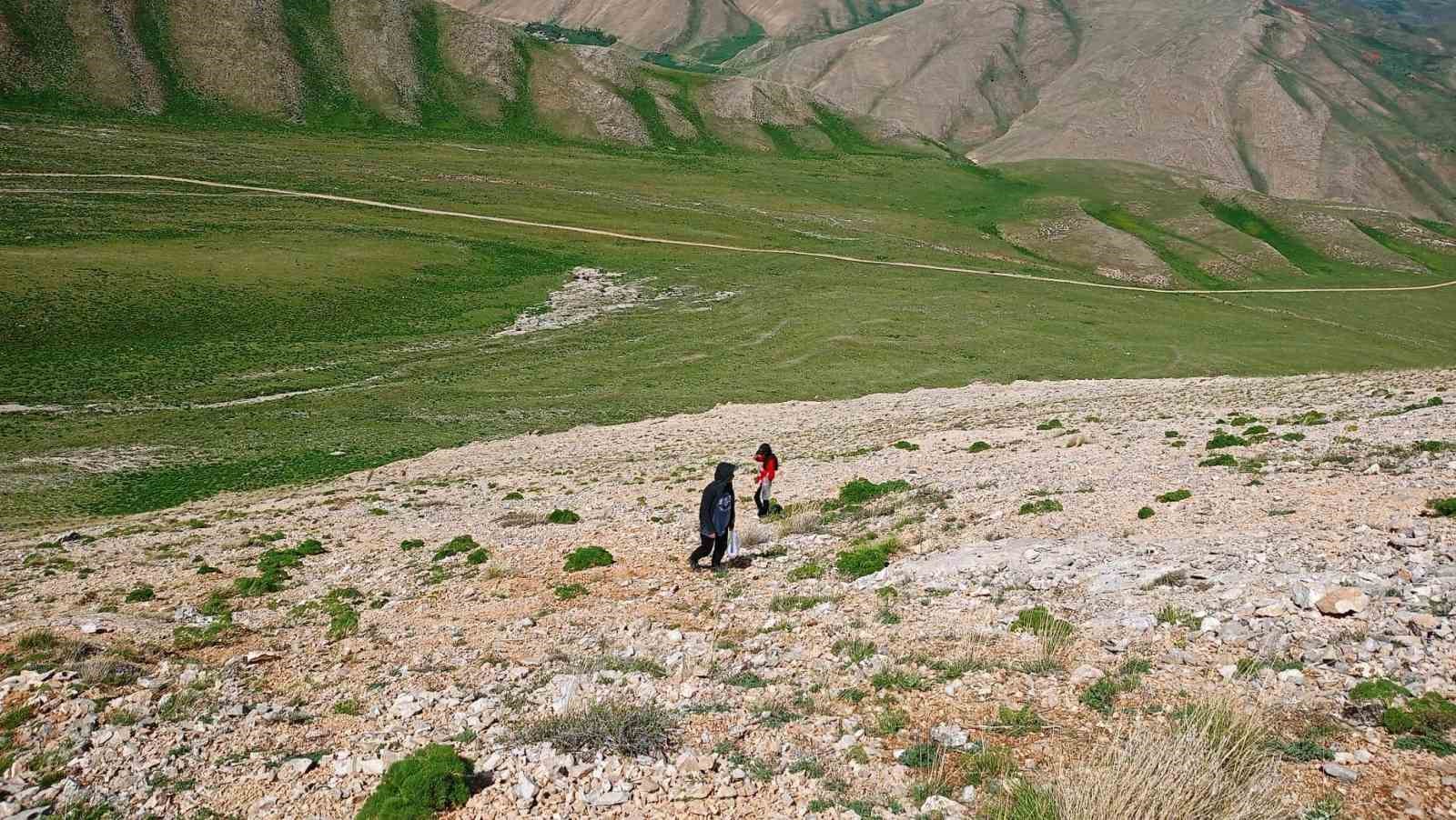 Uzmanlardan heliz otu ve mantar zehirlenmesi uyarısı