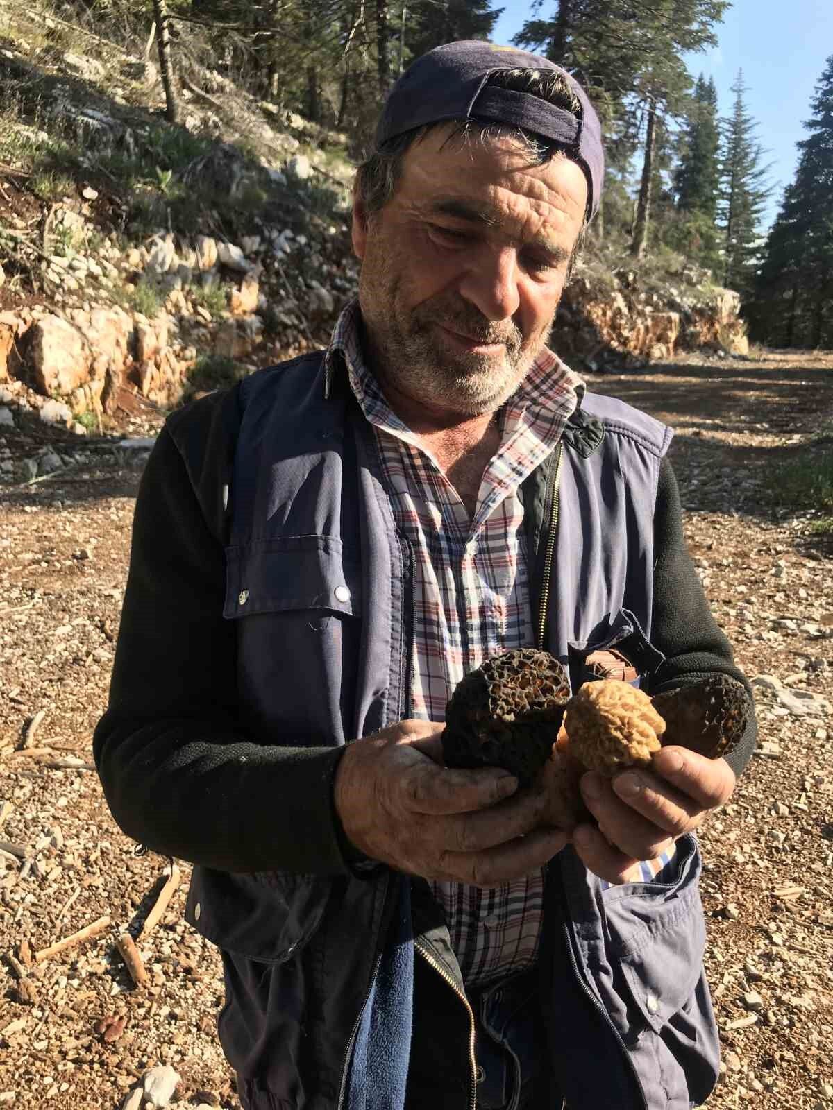 Antalya’da ’kuzugöbeği mantarı’ sezonu başladı