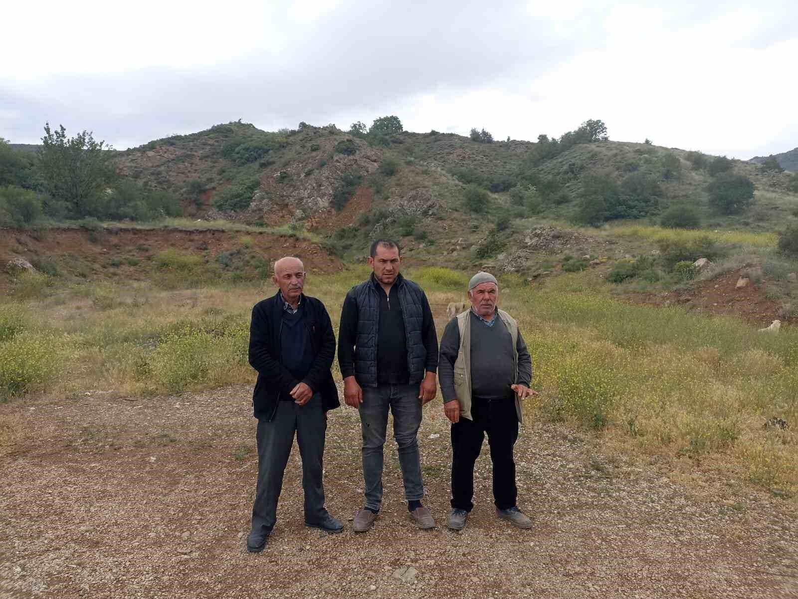 Başıboş köpekler buzağıyı parçaladı, sahiplerine saldırdı