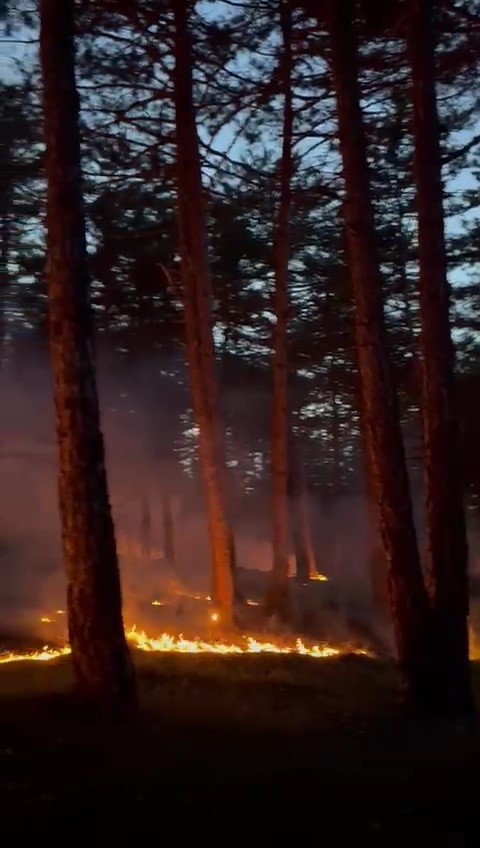 Ormanlık alana düşen yıldırım yangına neden oldu