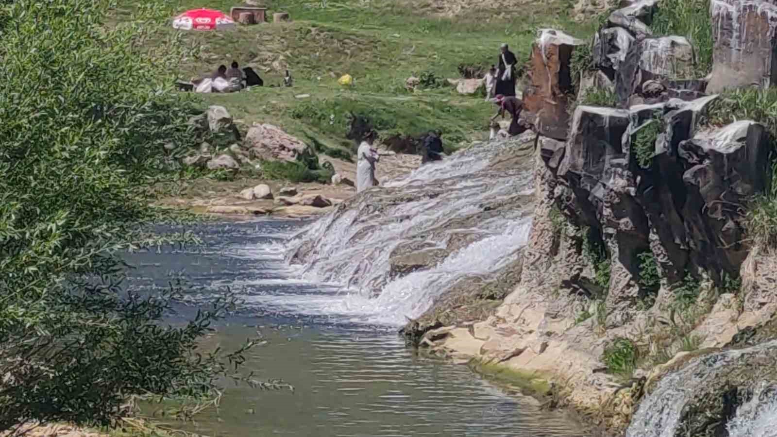 İnci kefalinin yumurta bırakmak için 23 kilometrelik serüveni