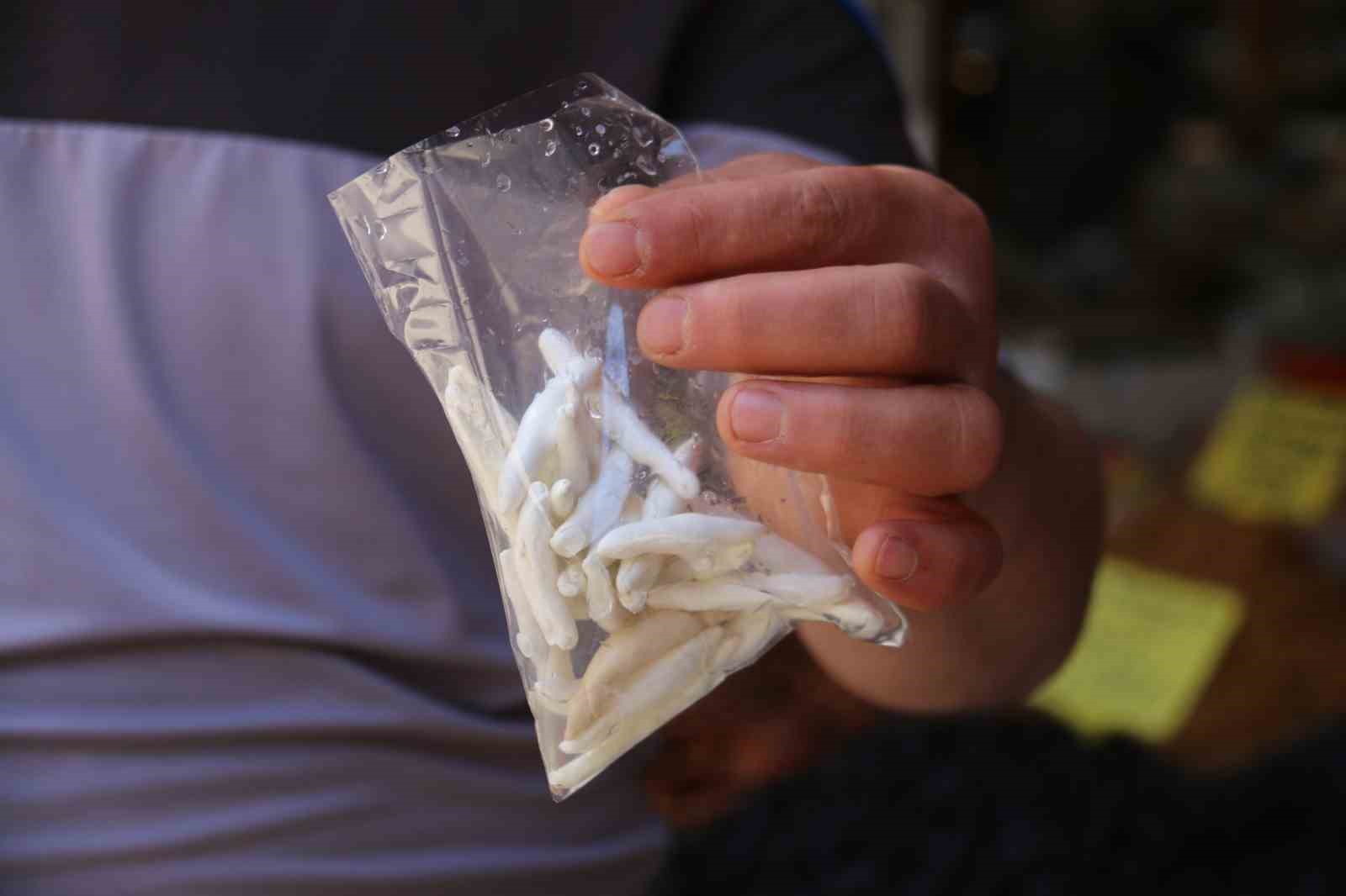 Dünyanın en pahalı sakızı, çeyrek altını geçti yarım altınla yarışıyor