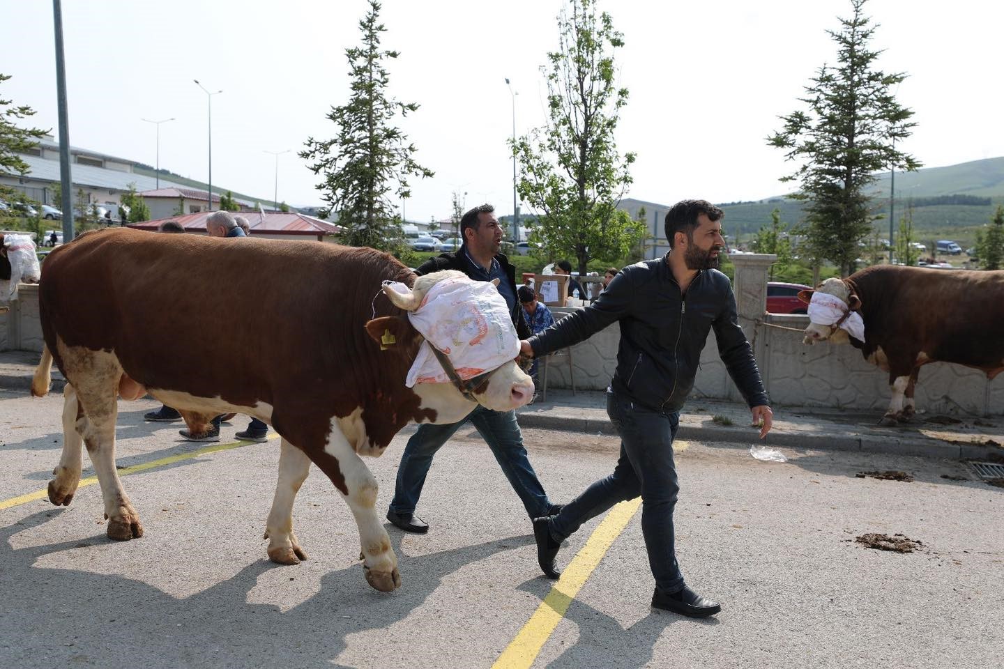 Vatandaş mobil mezbahanelere koştu