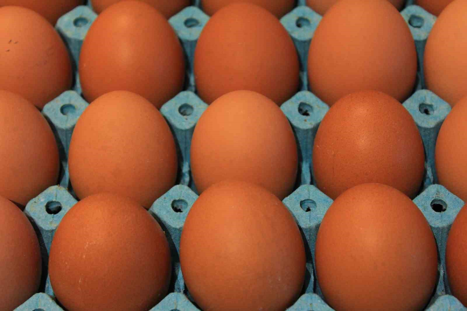 Yumurta üretimi 6 ayda 330 milyon adet azaldı