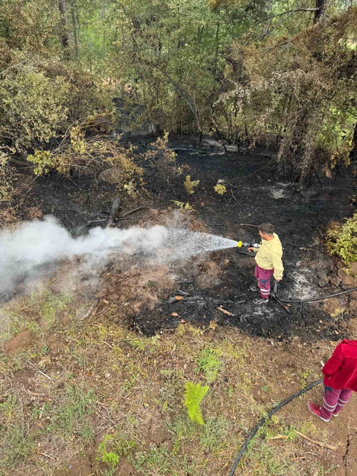 Yeşilin tonlarının yanarak siyaha büründüğü alanlar havadan da görüntülendi