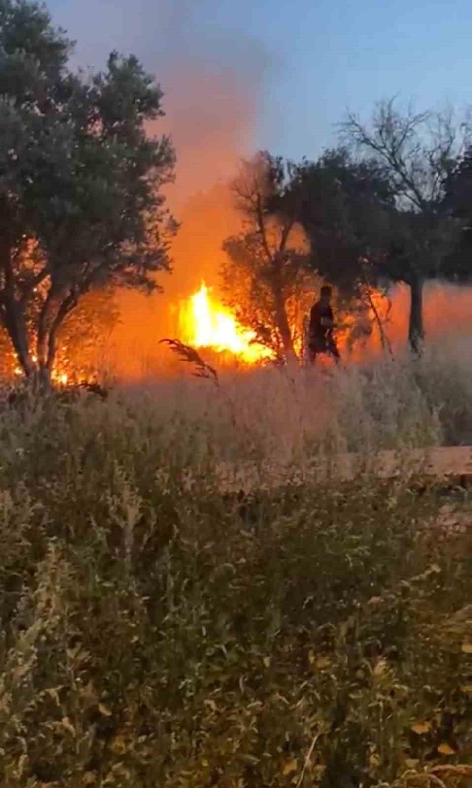 Şalvar gecesi zehir oldu...Havai fişekler köyü yakıyordu