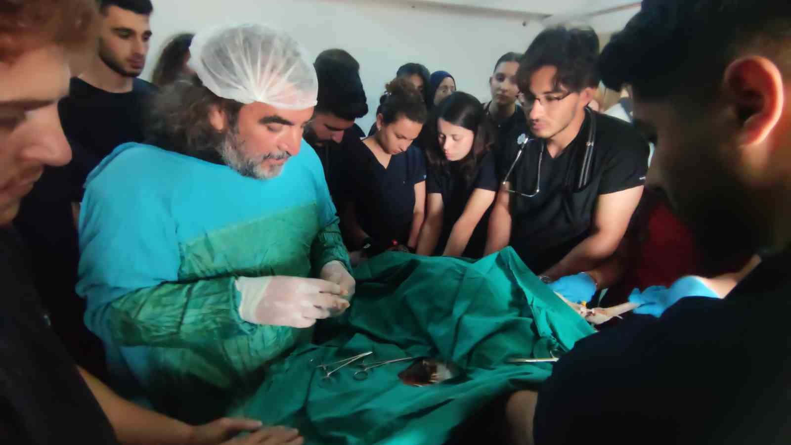 Muş’ta ateşli silahla yaralanan toy kuşu Van’da tedavisi devam ediyor