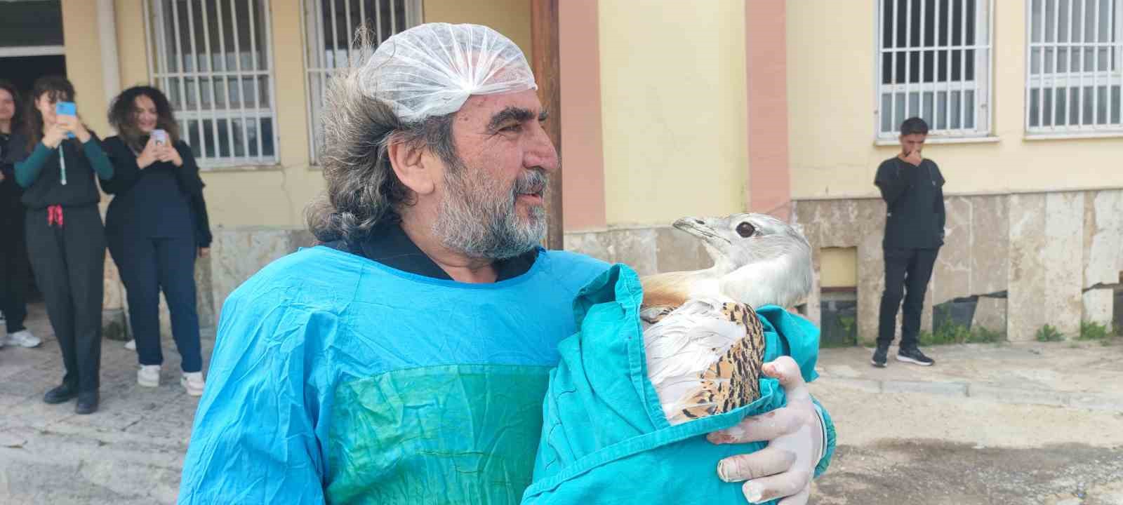 Muş’ta ateşli silahla yaralanan toy kuşu Van’da tedavisi devam ediyor