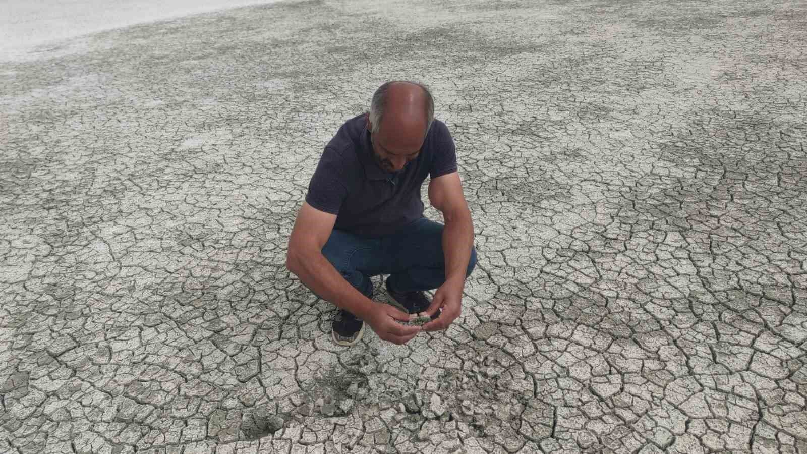 407 hektar alana sahip olan Akgöl, bu yıl erken kurudu