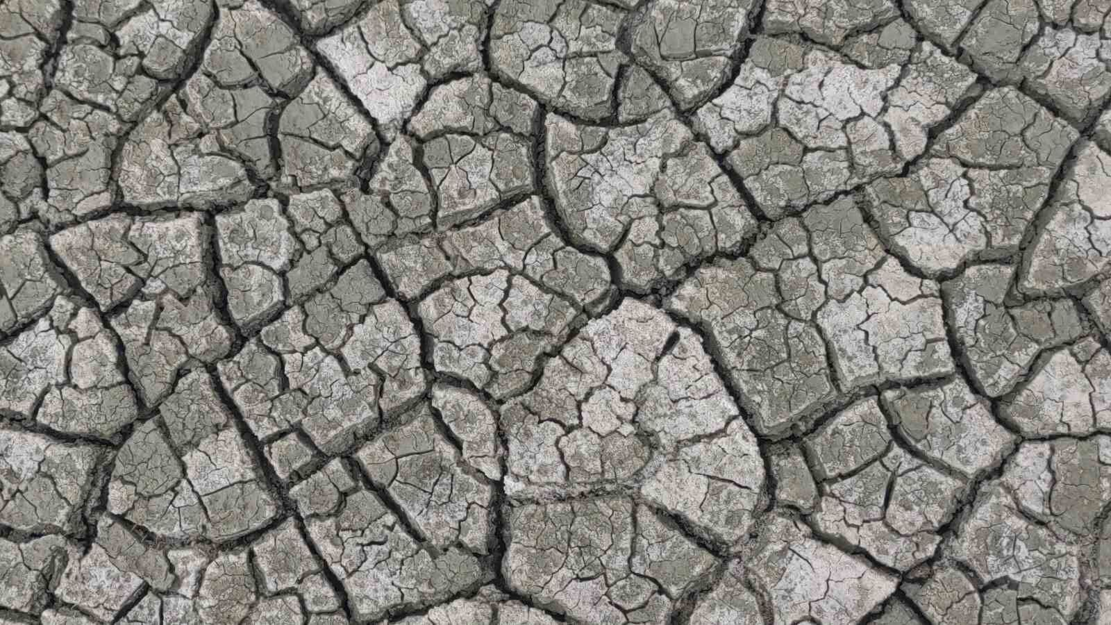 407 hektar alana sahip olan Akgöl, bu yıl erken kurudu