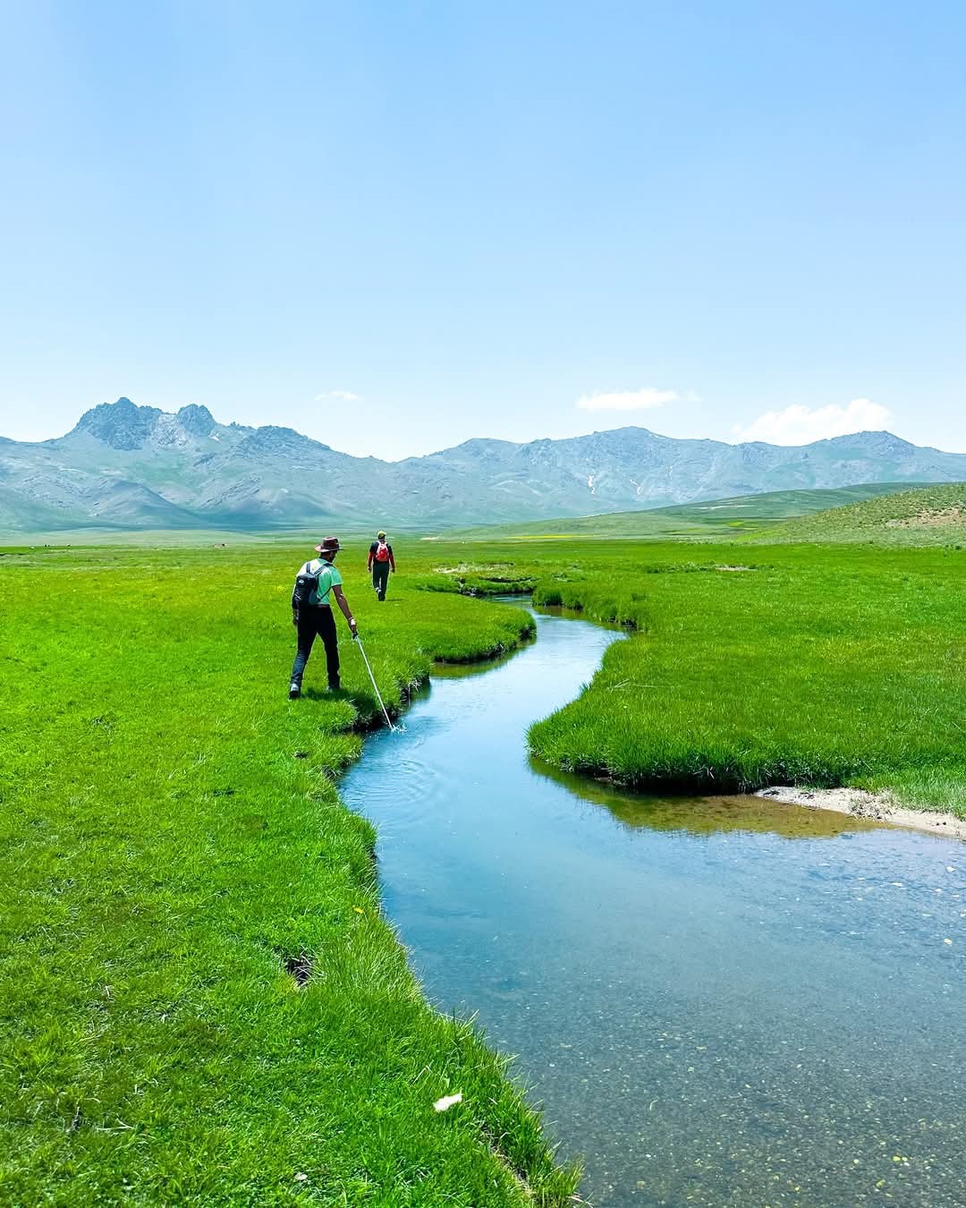 Alendeşt yaylası, menderesleri ve sarı çiçekleriyle büyülüyor