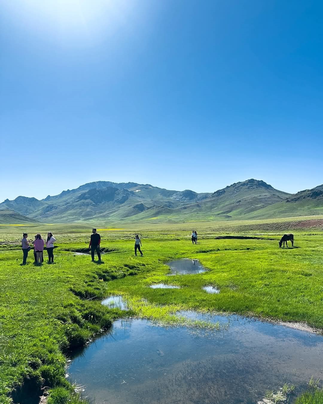 Alendeşt yaylası, menderesleri ve sarı çiçekleriyle büyülüyor