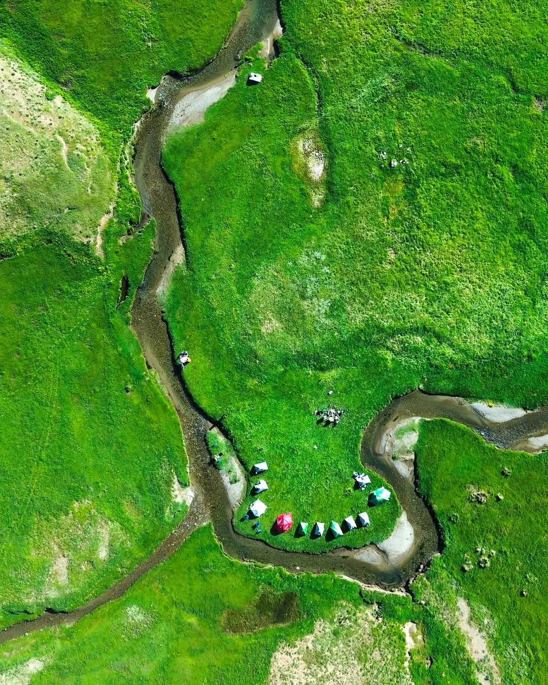 Alendeşt yaylası, menderesleri ve sarı çiçekleriyle büyülüyor