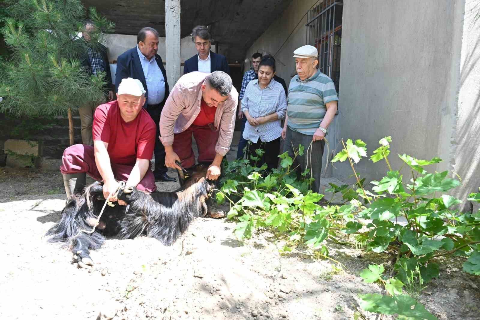 Isparta Belediyesi evlere giderek tek tek kurbanları kesti