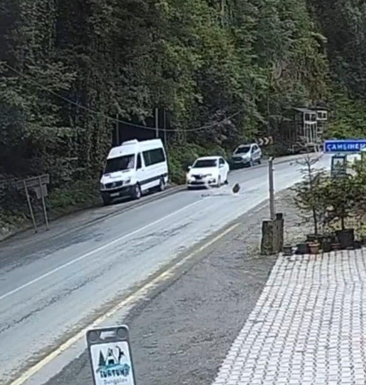 Otomobil düşen kayadan saniyelerle kurtuldu