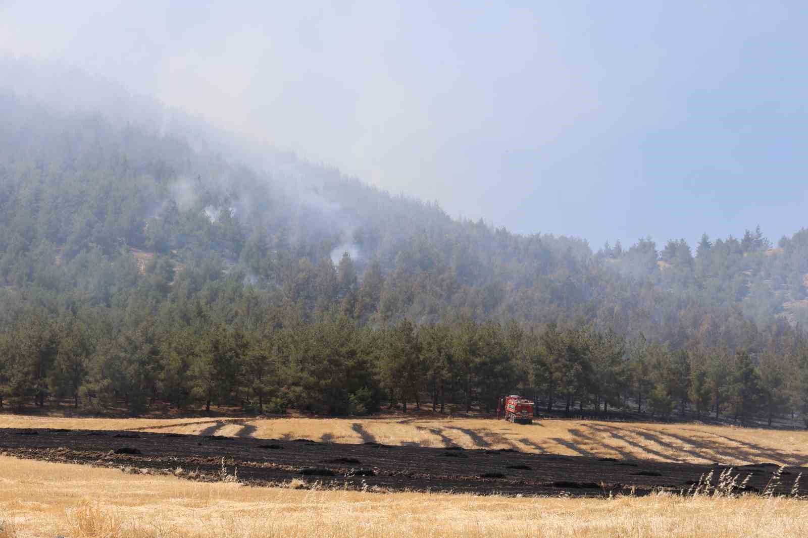 Yakılan anız, orman yangınına neden oldu: Müdahale sürüyor