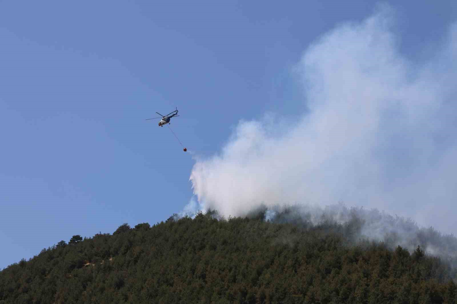 Yakılan anız, orman yangınına neden oldu: Müdahale sürüyor