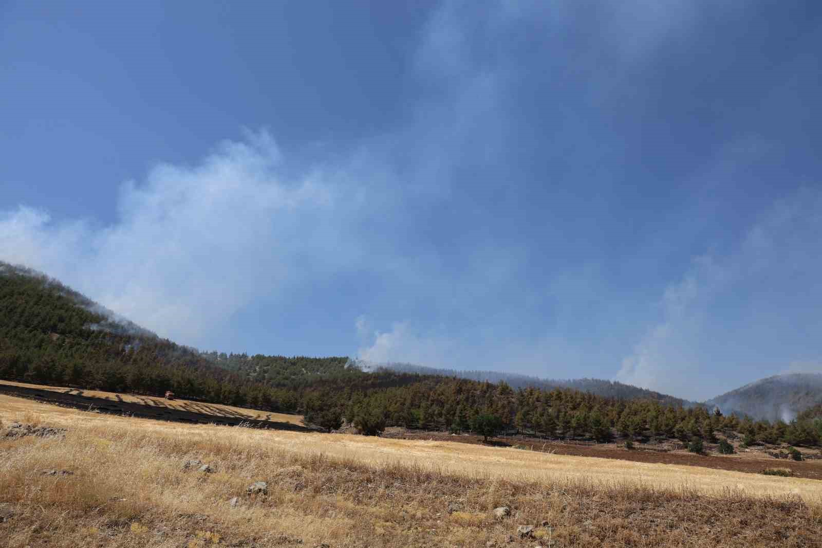 Yakılan anız, orman yangınına neden oldu: Müdahale sürüyor