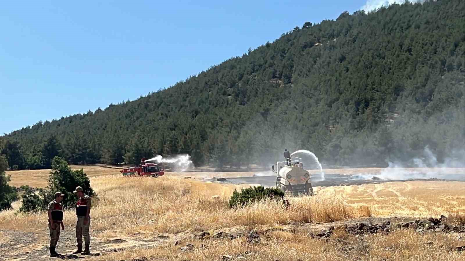 Yakılan anız, orman yangınına neden oldu: Müdahale sürüyor