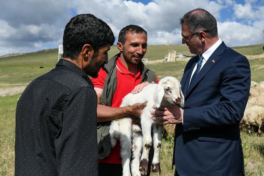 Van’da 3 yılda 2 bin 375 çiftçiye 235 bin koyun desteği verildi