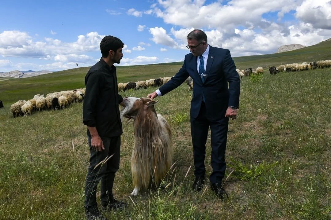 Van’da 3 yılda 2 bin 375 çiftçiye 235 bin koyun desteği verildi