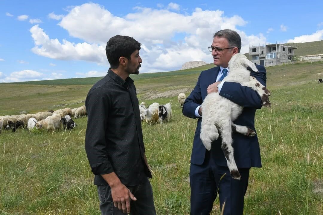 Van’da 3 yılda 2 bin 375 çiftçiye 235 bin koyun desteği verildi